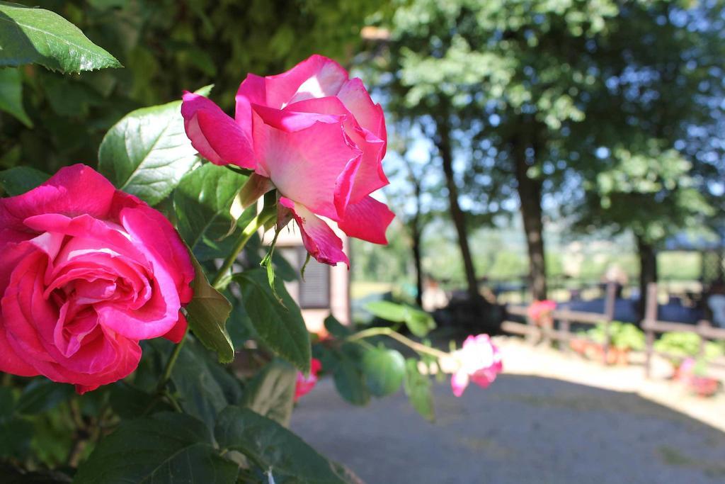La Selva Alloggio per agriturismo