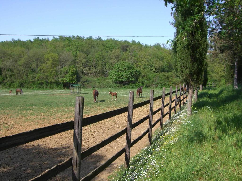 La Selva Alloggio per agriturismo *