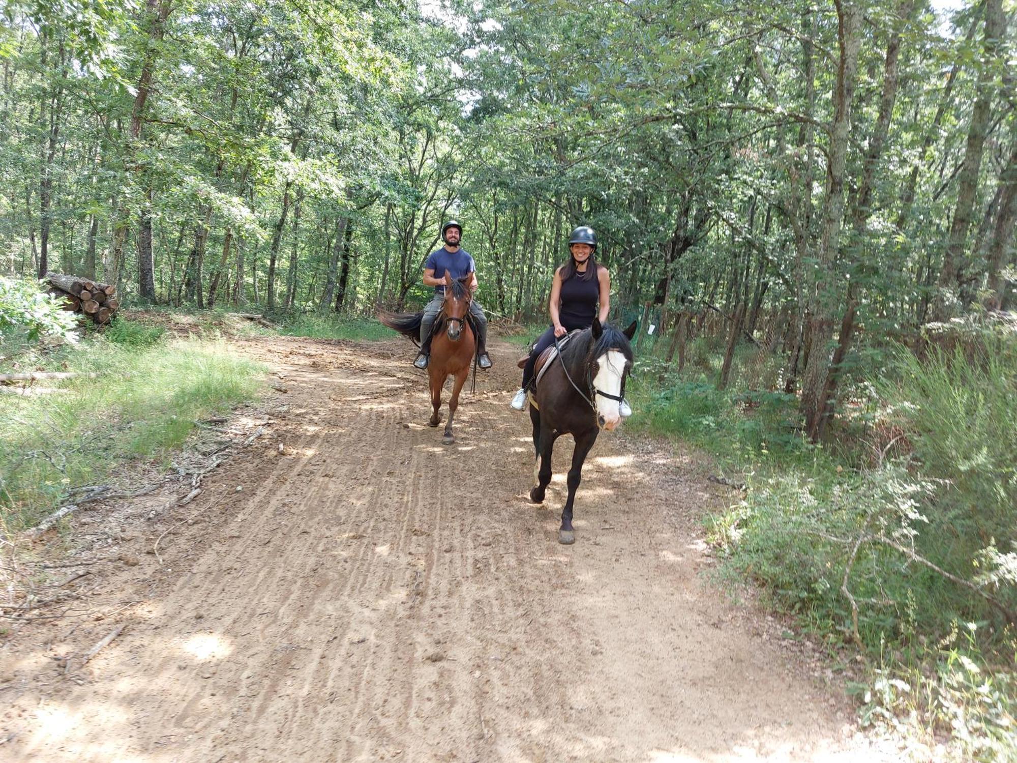 La Selva Agroturismo *